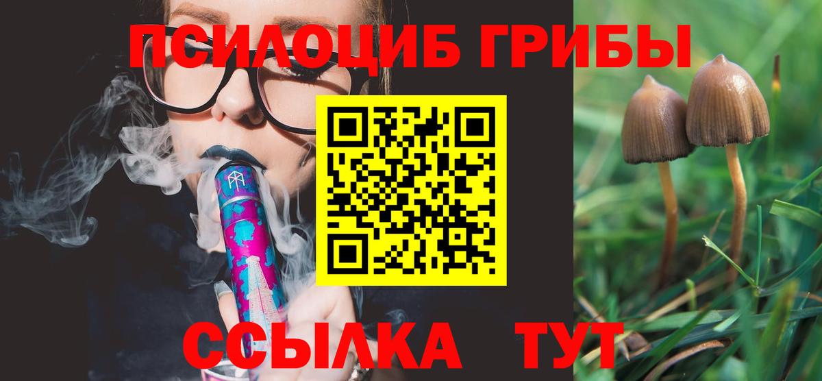 Псилоцибиновые грибы MAGIC MUSHROOMS Нижний Тагил